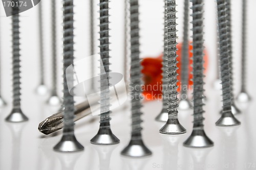 Image of Standing Screws & Screwdriver