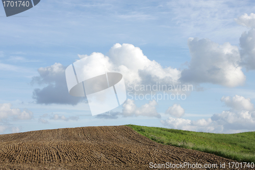Image of Sky over green field