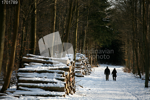 Image of winter in denmark