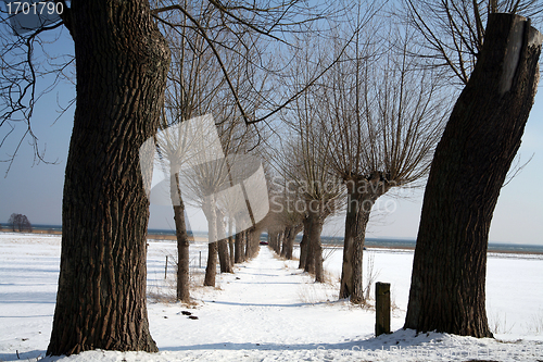 Image of snowy winter