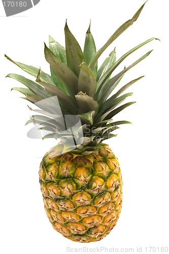 Image of Pineapple w/ Path (Top View)