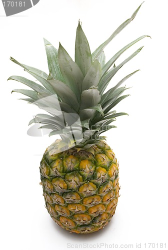Image of Pineapple (Top View)