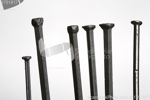 Image of Nails