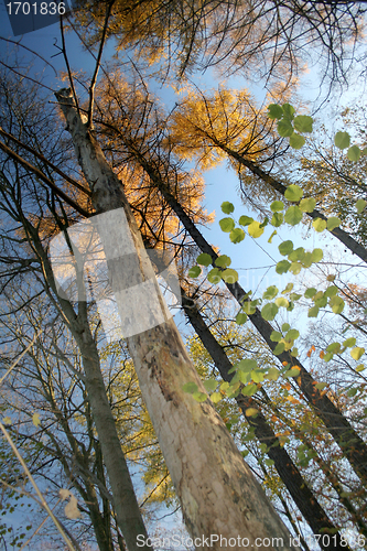 Image of danish landscape01
