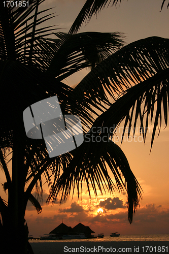 Image of maldives islands