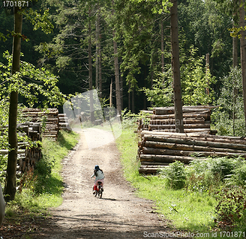 Image of children in he forest