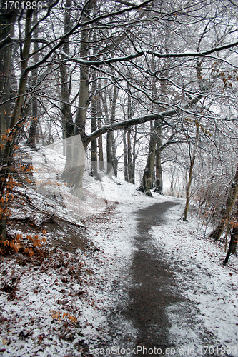 Image of nature landscape