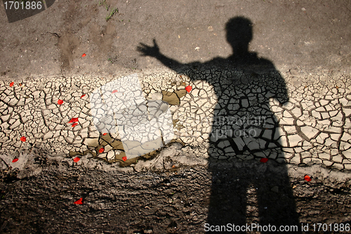 Image of throwing flowers