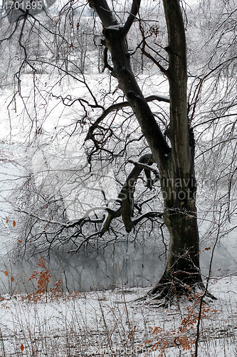 Image of nature landscape