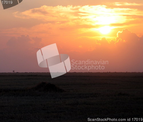 Image of Blinding sun