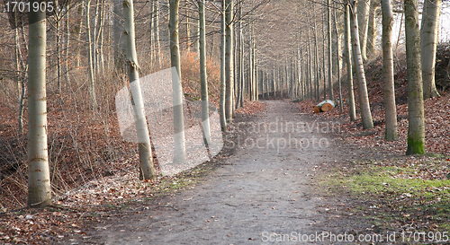 Image of alley