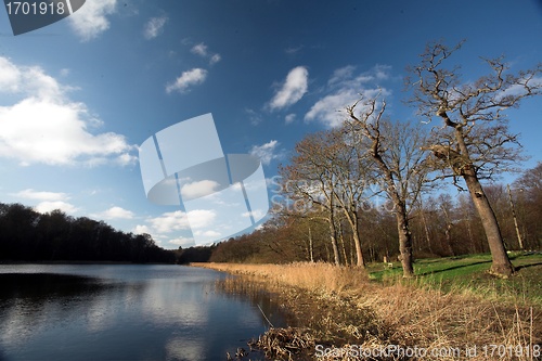 Image of lake forest