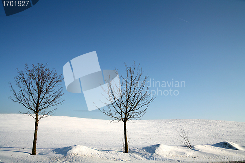 Image of snowy winter