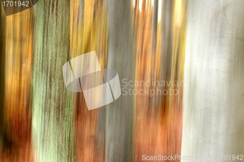 Image of danish landscape01