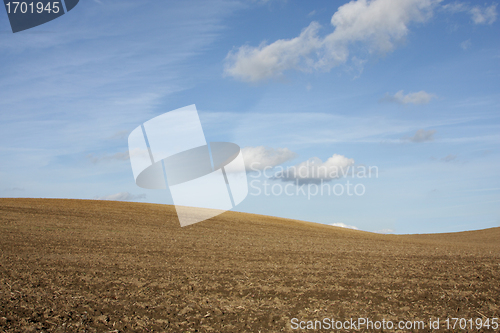 Image of Sky