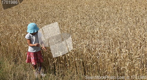 Image of corn field girl