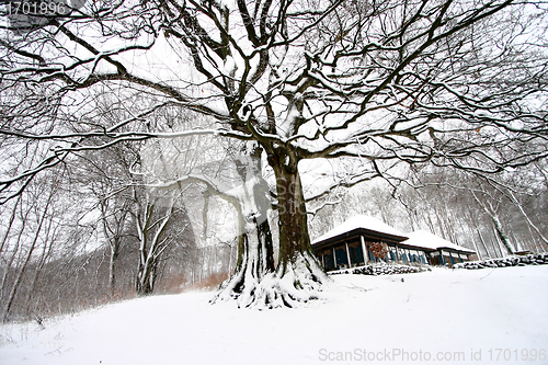 Image of nature landscape