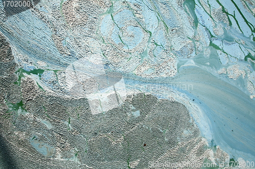 Image of Blue-green algae