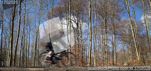 Image of danish landscape and bike