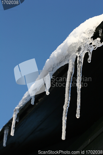 Image of cold winter