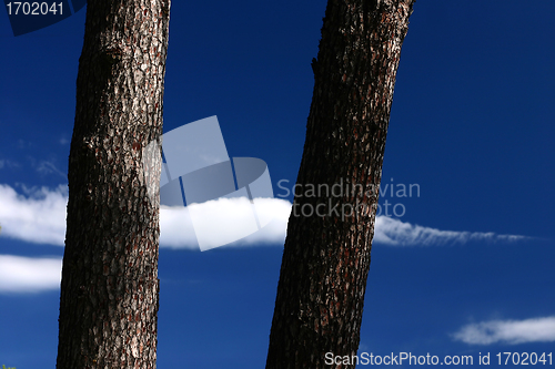 Image of Corsican sceneries