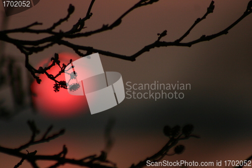 Image of  sunset