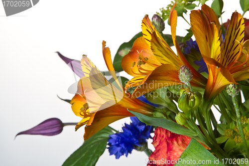 Image of Flowers