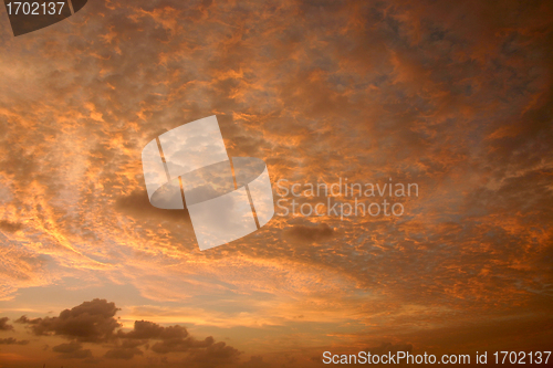 Image of maldives islands