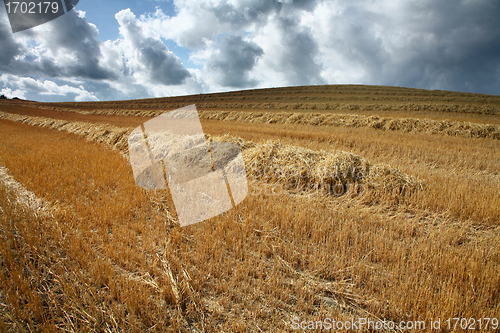 Image of nature landscape