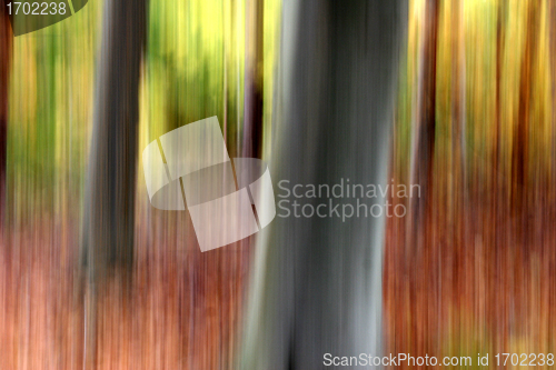 Image of danish landscape01