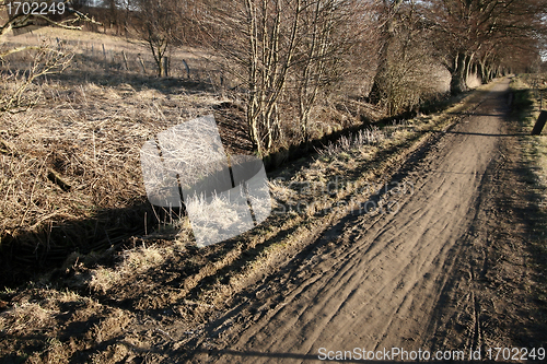 Image of danish landscape01