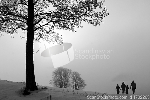 Image of winter in denmark