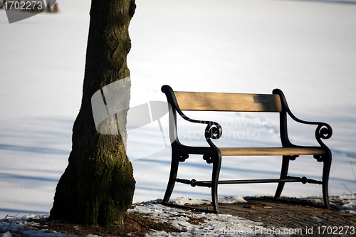 Image of winter bench