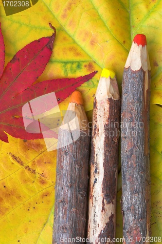 Image of pencils