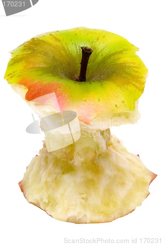 Image of Apple Core w/ Path (Top View)