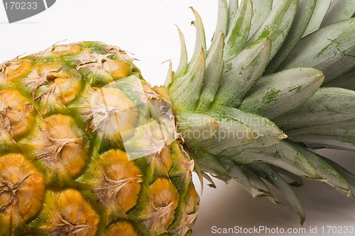 Image of Pineapple (Close View)