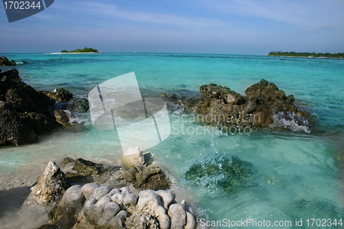 Image of maldives islands