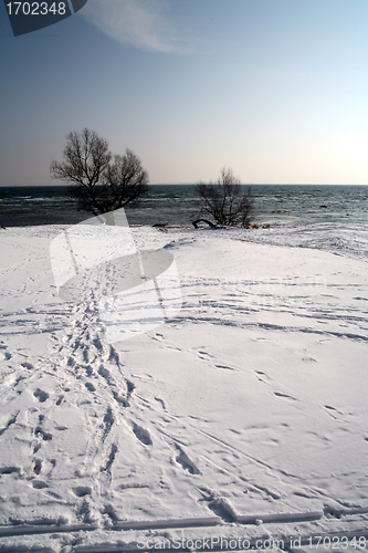 Image of winter in denmark
