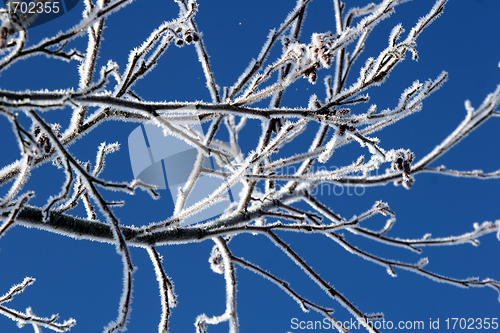 Image of snowy winter
