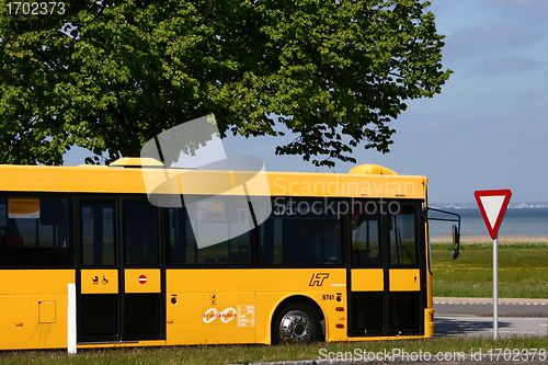 Image of bus