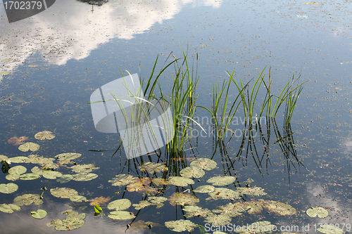 Image of lake