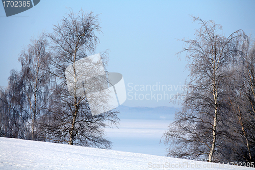 Image of snowy winter