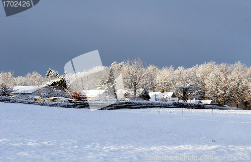 Image of winter