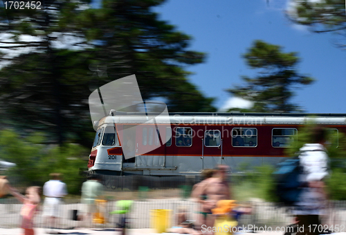 Image of Corsica: Train Calvi to Ile Rousse