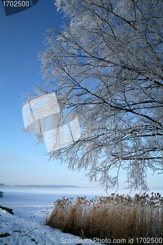 Image of winter in denmark