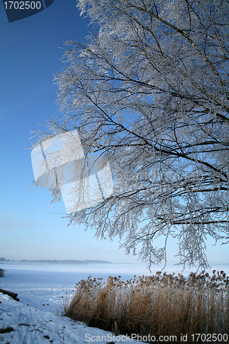 Image of winter in denmark