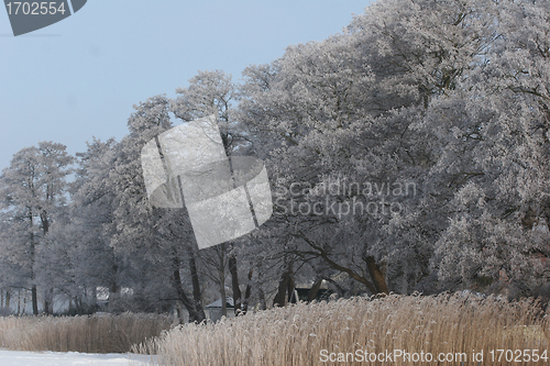 Image of winter in denmark