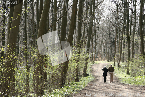 Image of in the forest
