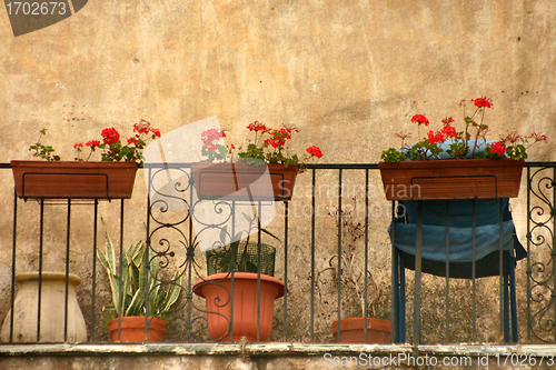 Image of corsican houses and buildings