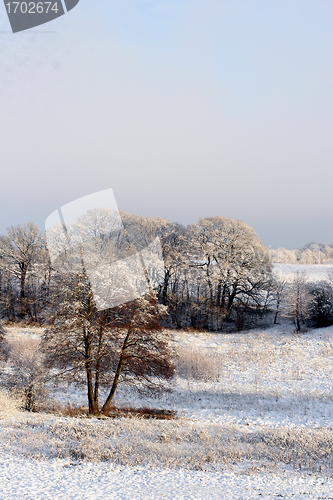 Image of winter